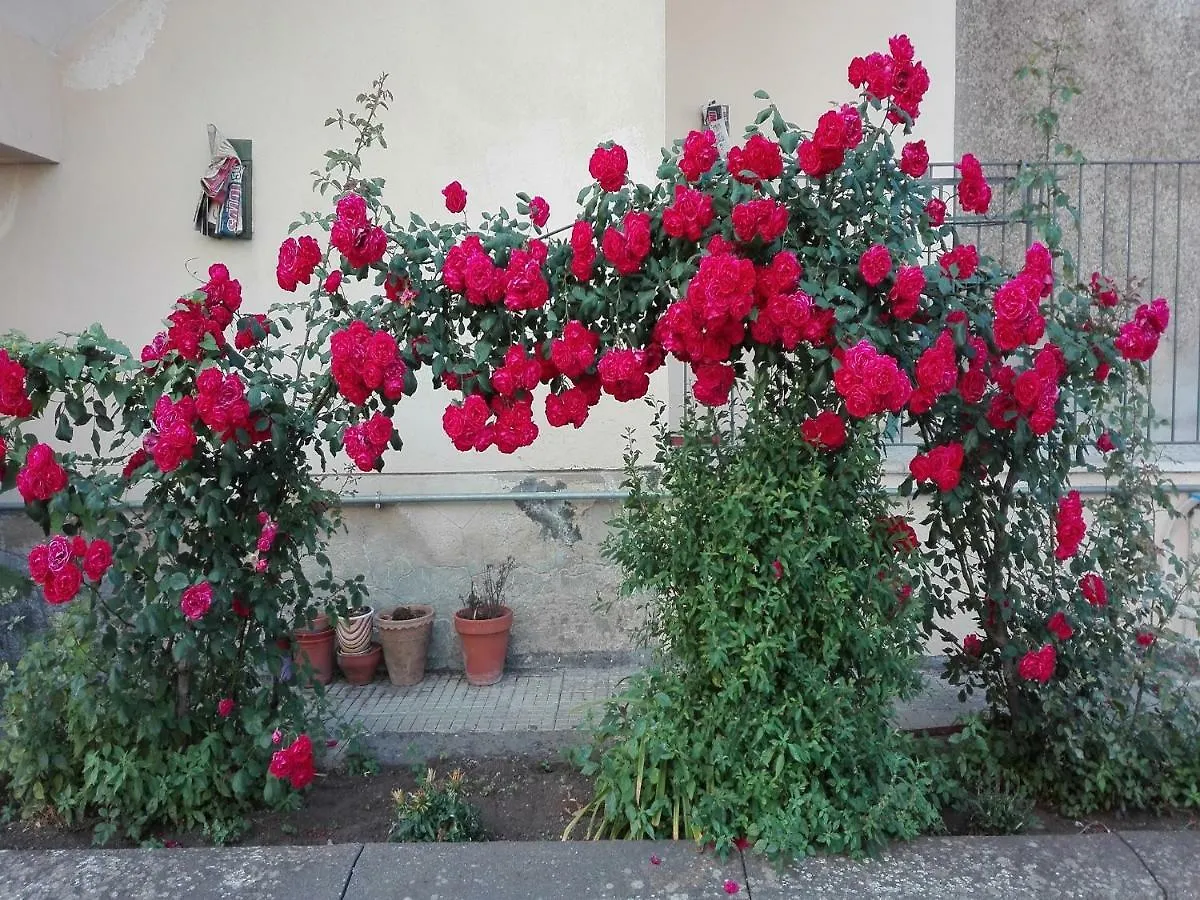 Casa Sciotto Apartment Linguaglossa